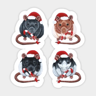 Festive Rats Sticker